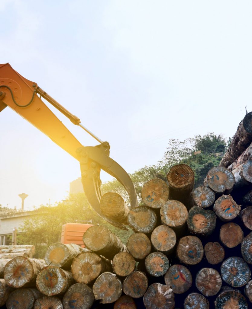 wood processing factory